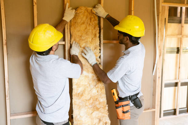 Insulation Repair Services in Riverside, MD